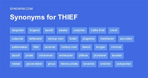 synonym for thief|synonyms for thief and spy.